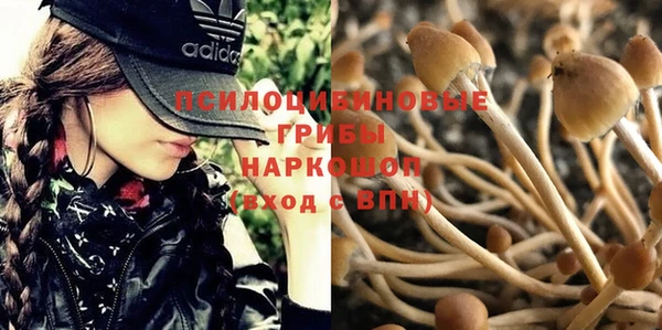 MDMA Арсеньев