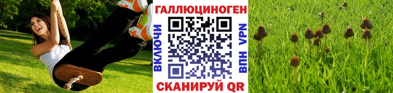 Галлюциногенные грибы MAGIC MUSHROOMS  Балахна 